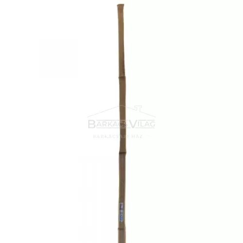 Bambusz seprű