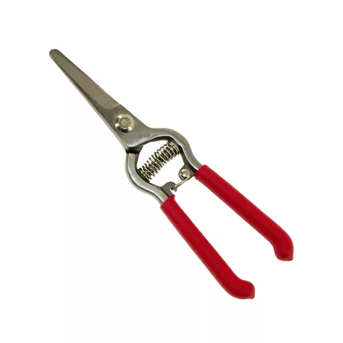 Szüretelő olló kovácsolt 20 cm