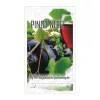 Matrica pinot noir 50db/csom