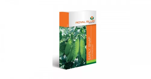 Cukorborsó Early Snap 50g ROYAL SLUIS