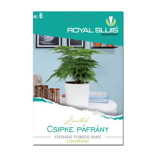 Csipke páfrány Asparagus pl.n. Royal Sluis Limited