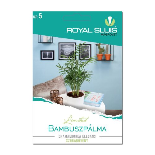 Bambuszpálma Royal Sluis Limited