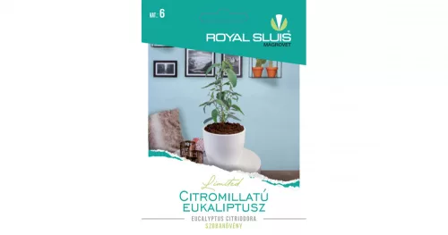 Citromillatú eukaliptusz Royal Sluis Limited