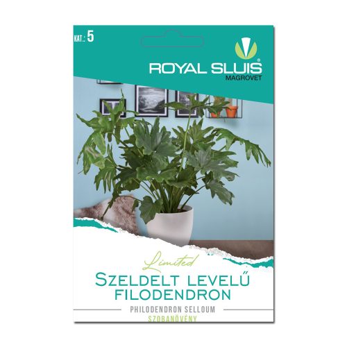 Szeldelt levelű filodendron Royal Sluis Limited