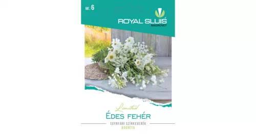Édes fehér egynyári színkeverék Royal Sluis Limited