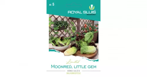 Moonred római saláta Royal Sluis Limited
