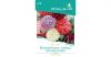Bazsarózsa virágú színkeverék Díszmák Royal Sluis Limited