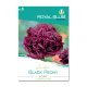 Black Peony Díszmák Royal Sluis Limited