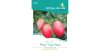Pink Thai Egg koktélparadicsom Royal Sluis Limited