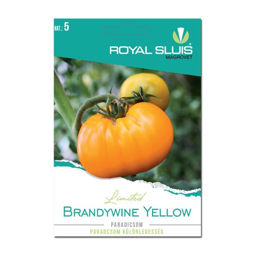 Brandywine Yellow paradicsom Royal Sluis Limited