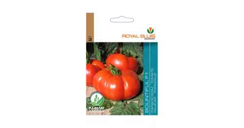 Paradicsom Bountiful-marmande Royal Sluis