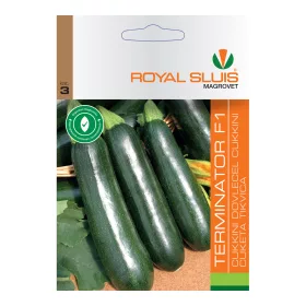 Cukkini korai Terminator F1 Royal Sluis