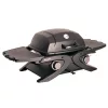 Gázüzemű mobil grillsütő 4,2 kW, 2 gázégővel Riwall PRO RGG 20 Compact