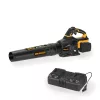 Akkus lombfúvó 40 V (2 x 20 V) + 2x 4 Ah akkumulátor + dupla gyorstöltő 4,5 A Riwall PRO RABL 3220i SET