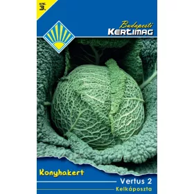 Kelkáposzta Vertus 2 (Konyhakert)