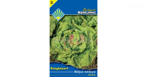 Saláta Május királya (Konyhakert)