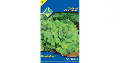 Saláta Attrakció (Konyhakert)