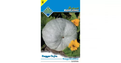 Sütőtök Nagydobosi (Magyar fajta)