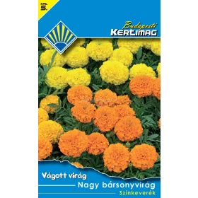 Nagy bársonyvirág Színkeverék (Vágott virág)