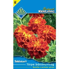 Törpe bársonyvirág Bonita carmen piros (Sziklakert)