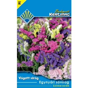 Egynyári sóvirág Színkeverék (Vágott virág)