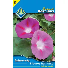 Bíboros hajnalka Színkeverék (Balkon virág)