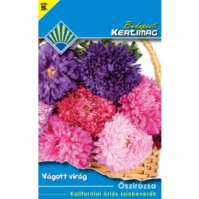   Őszirózsa Kaliforniai óriás színkeverék (Vágott virág)