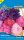 Őszirózsa Kaliforniai óriás színkeverék (Vágott virág)
