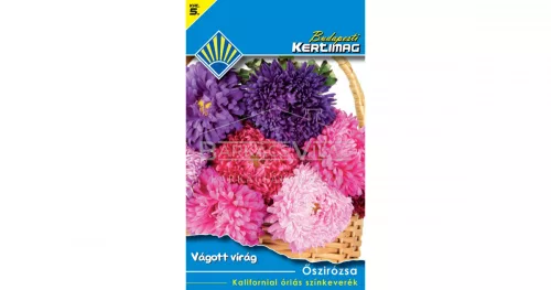 Őszirózsa Kaliforniai óriás színkeverék (Vágott virág)