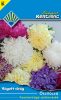 Őszirózsa Peoniavirágú színkeverék (Vágott virág)