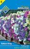 Petúnia Balkon színkeverék (Balkon virág)