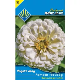 Pompás rézvirág Dáliavirágú fehér (Vágott virág)
