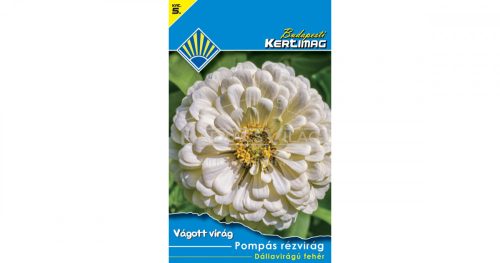 Pompás rézvirág Dáliavirágú fehér (Vágott virág)