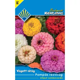 Pompás rézvirág Liliput színkeverék (Vágott virág)