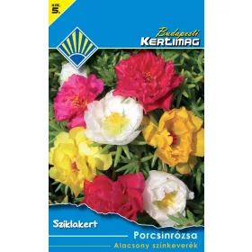 Porcsinrózsa Alacsony színkeverék (Sziklakert)