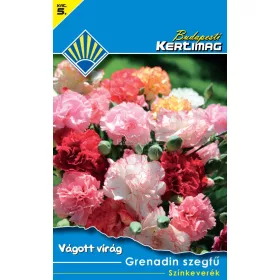 Grenadin szegfű Színkeverék (Vágott virág)
