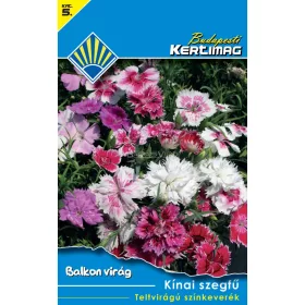 Kínai szegfű Teltvirágú színkeverék (Balkon virág)