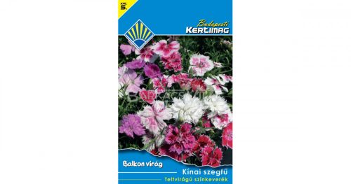 Kínai szegfű Teltvirágú színkeverék (Balkon virág)