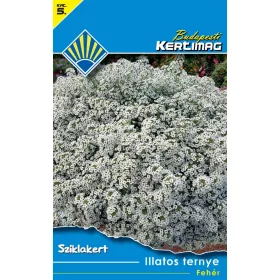 Illatos ternye Fehér (Sziklakert)