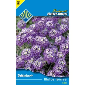 Illatos ternye Lila (Sziklakert)