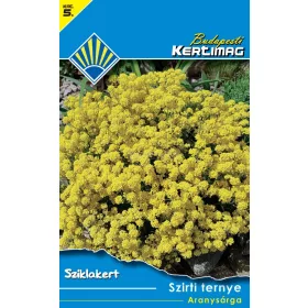 Szirti ternye Aranysárga (Sziklakert)