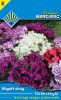 Törökszegfű Teltvirágú magas színkeverék (Vágott virág)