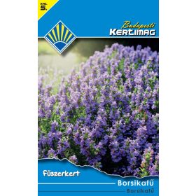 Borsikafű (Fűszerkert)