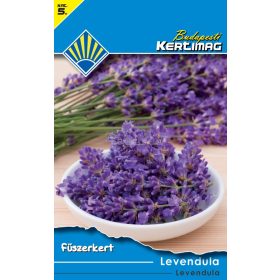 Levendula (Fűszerkert)