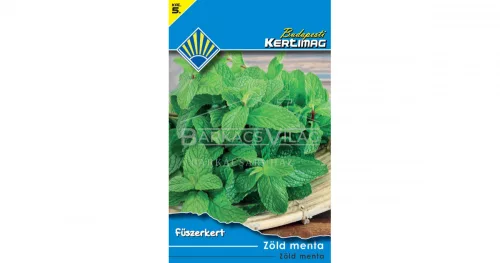 Zöld menta (Fűszerkert)