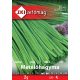 Metélőhagyma