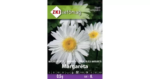 Évelő fehér margaréta Maikönig