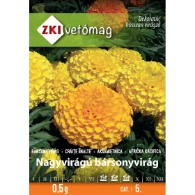 Nagy bársonyvirág Magas színkeverék