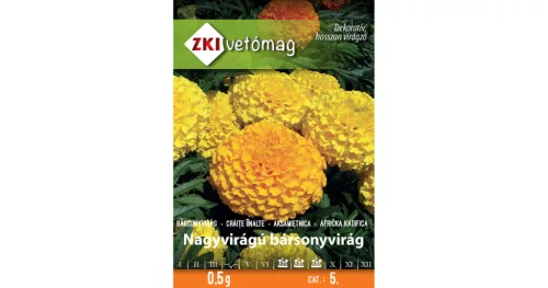 Nagy bársonyvirág Magas színkeverék