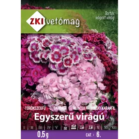 Törökszegfű egyszerű virágú magas színkeverék